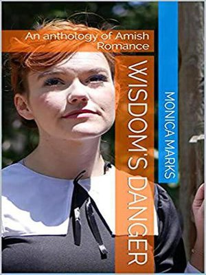 cover image of Wisdom's Danger